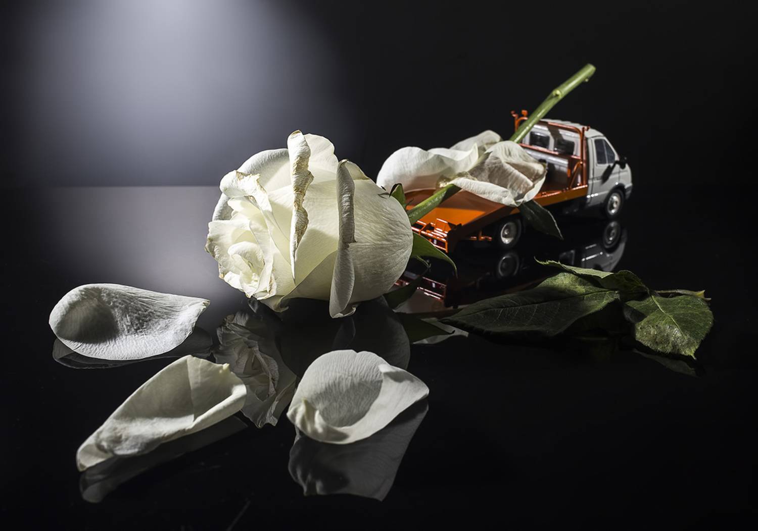 , Евгений Попов