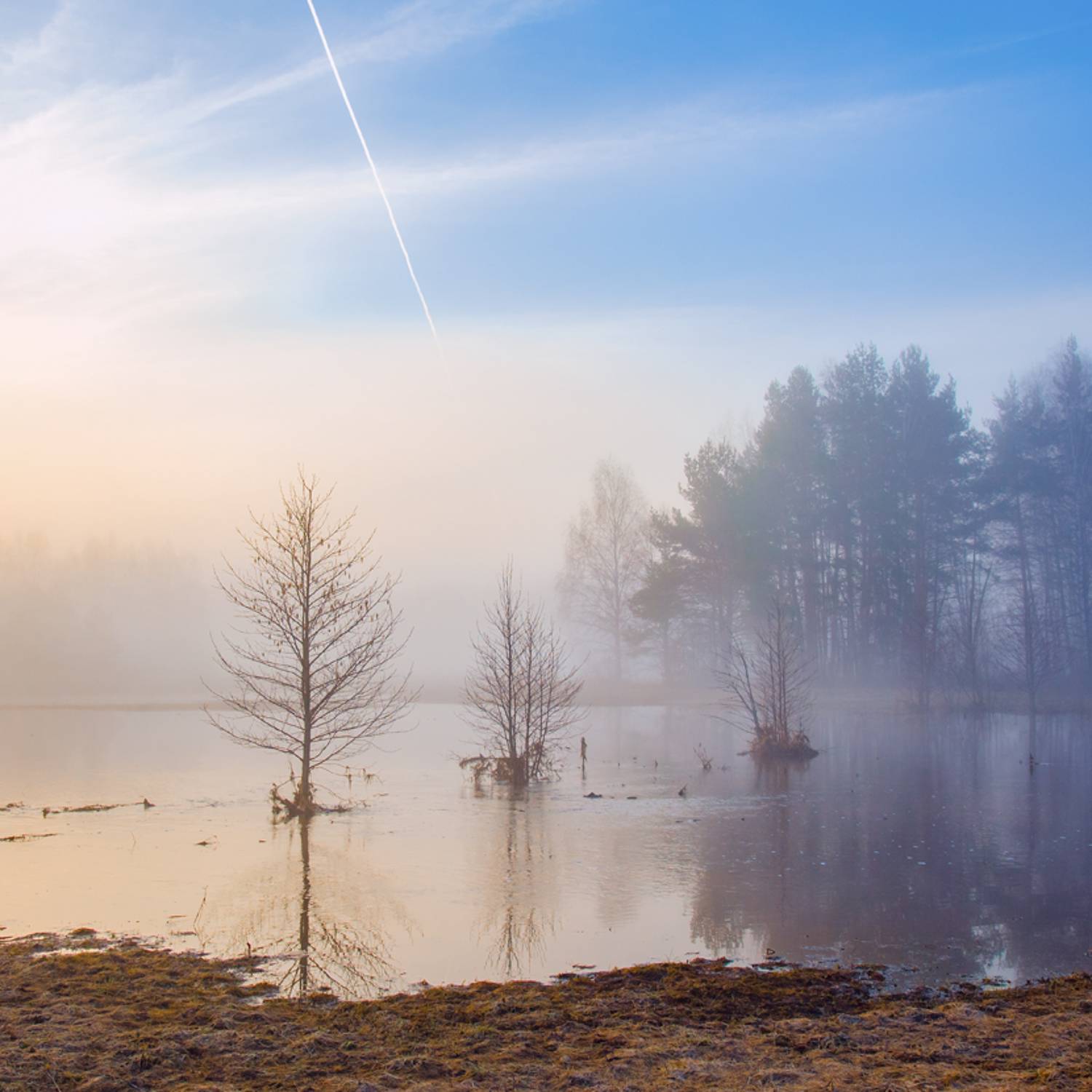 апрель суворощь рассвет половодье, Алексеев Дмитрий