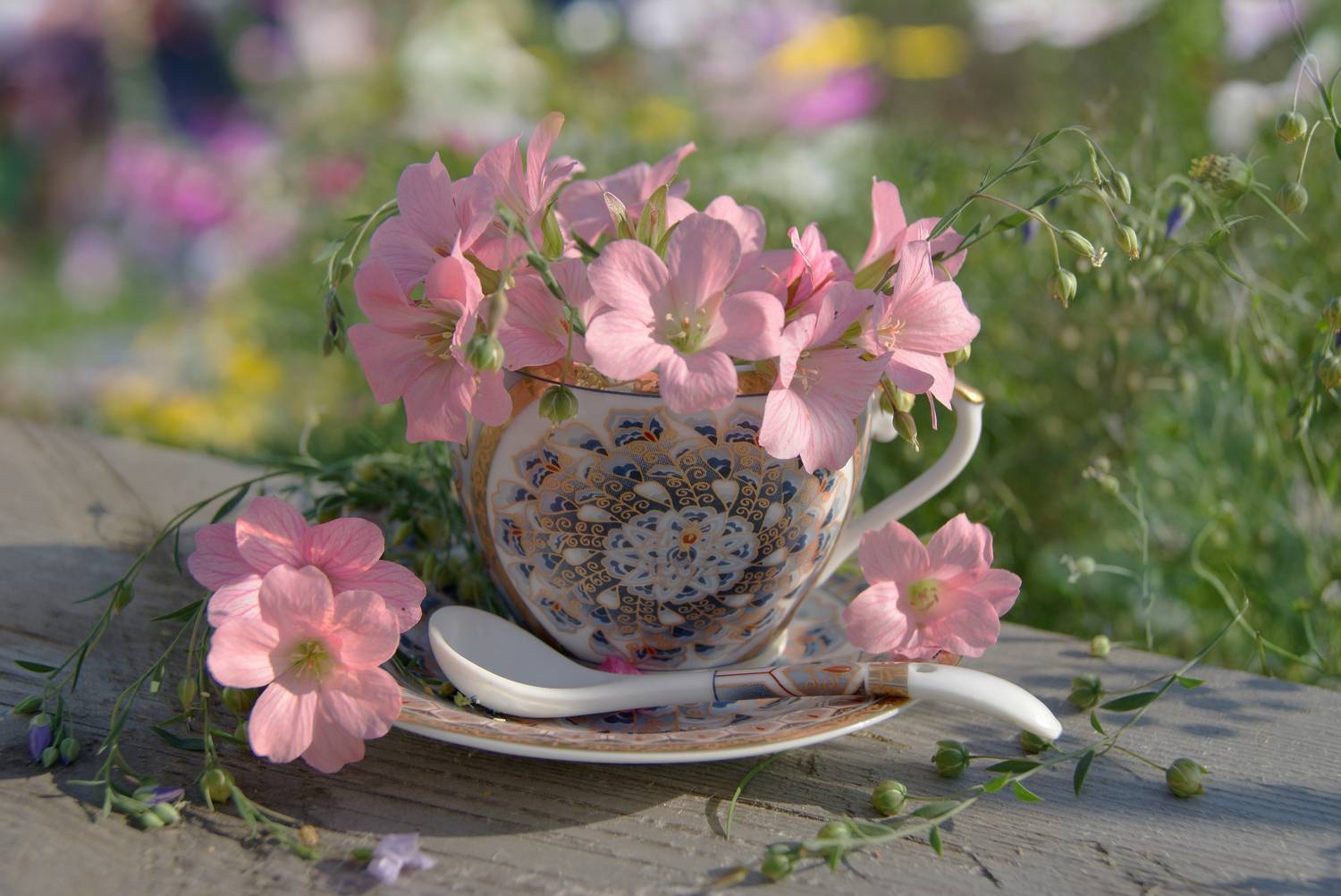 , Хохлова (Ермохина) Наталья