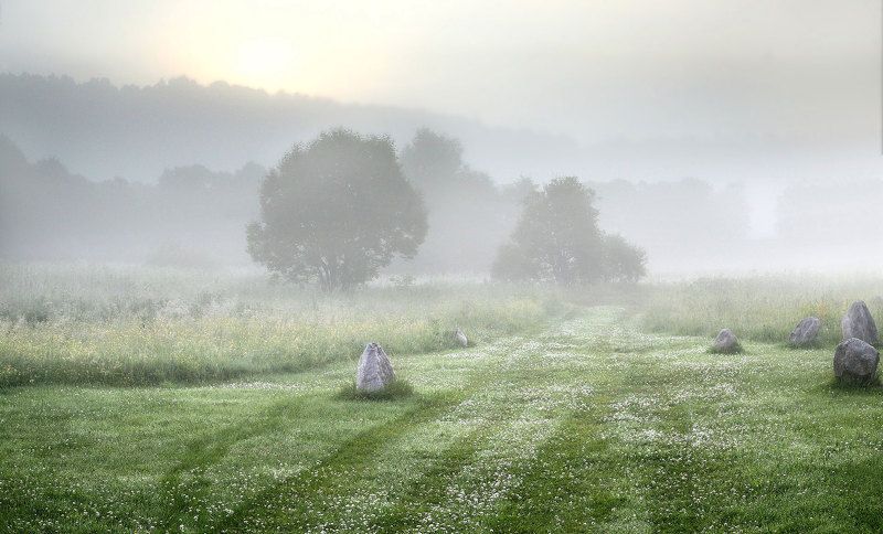 Про клеверную кашку ранним утром фото превью
