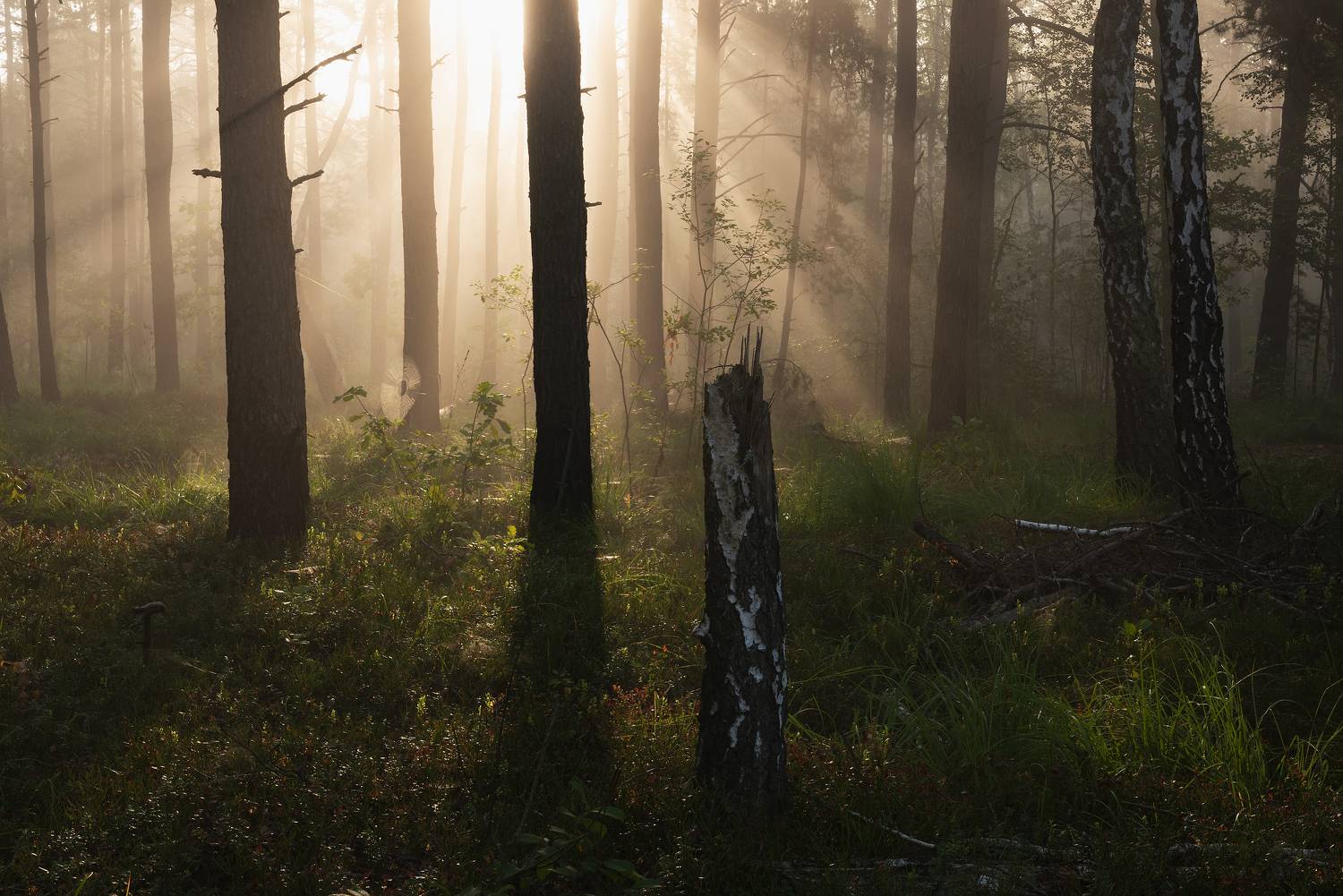 , Захаров Дмитрий