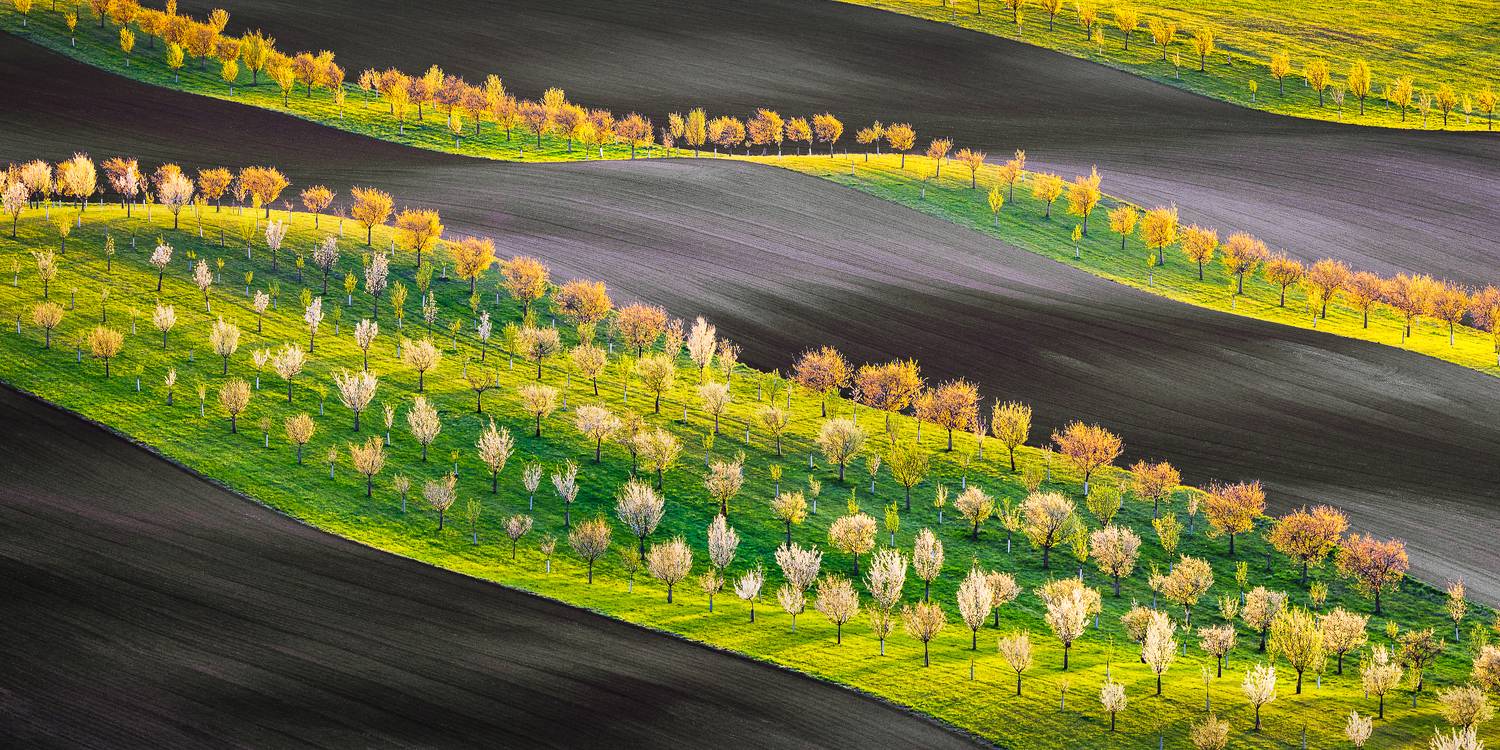 , Konf&aacute;l Miroslav