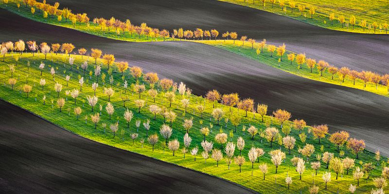 Biobelts South Moravia фото превью