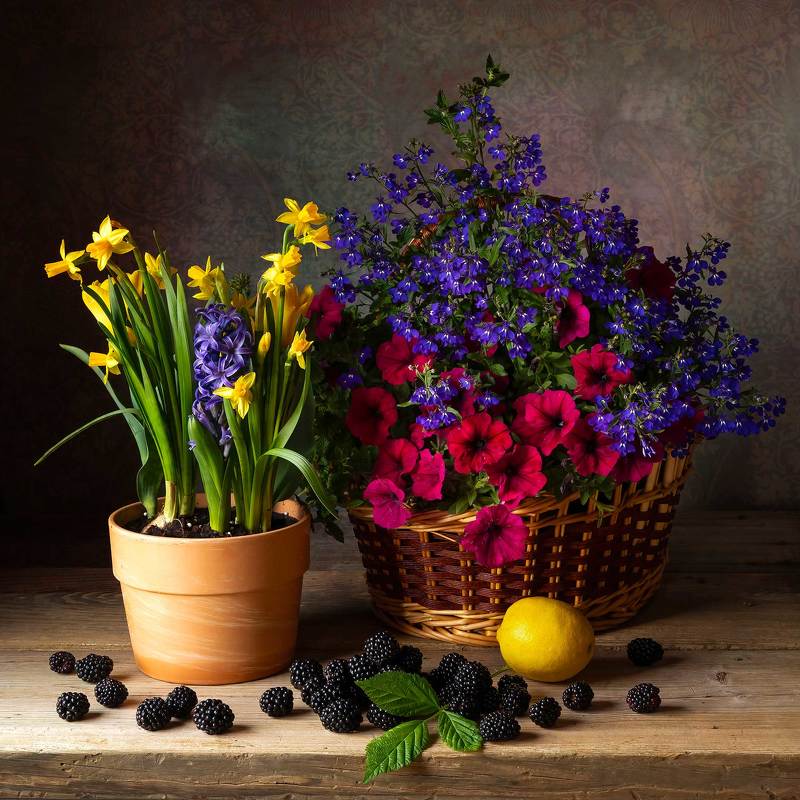 More flowers... фото превью