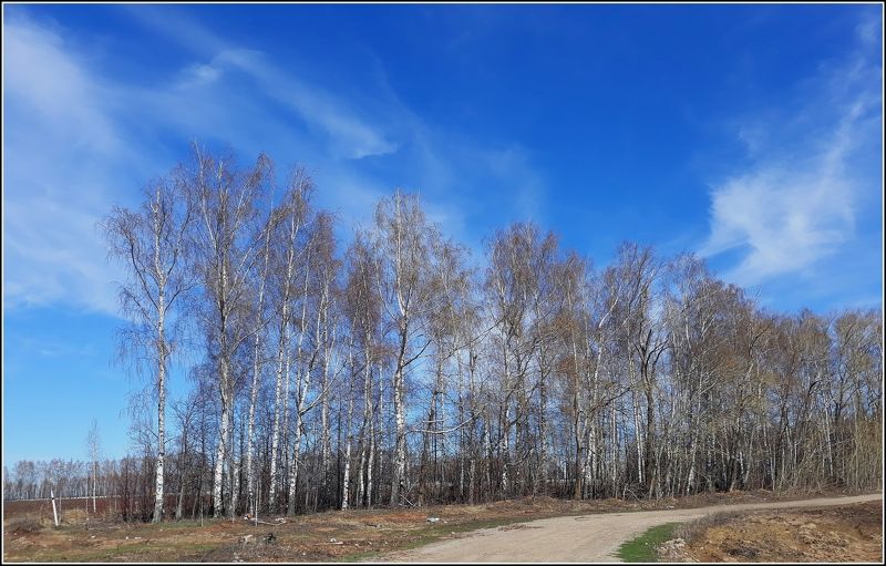 Весеннее настроение фото превью