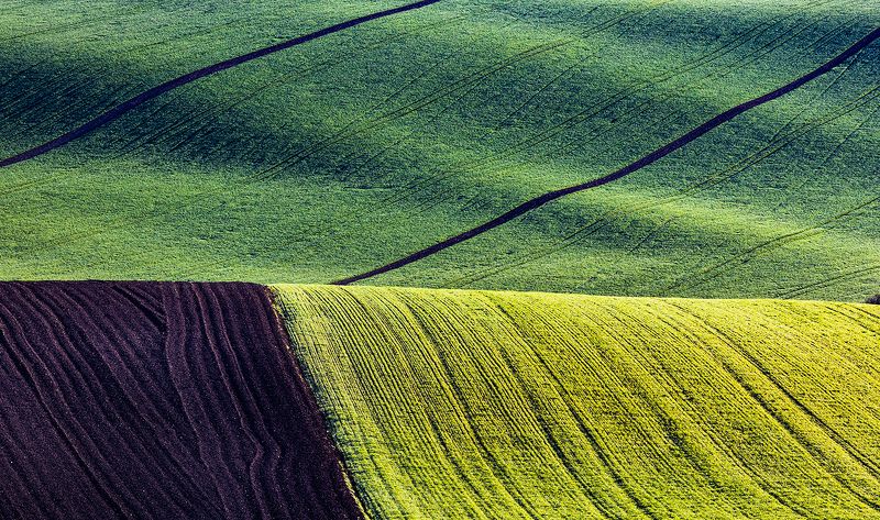 Моравская Тоскана фото превью