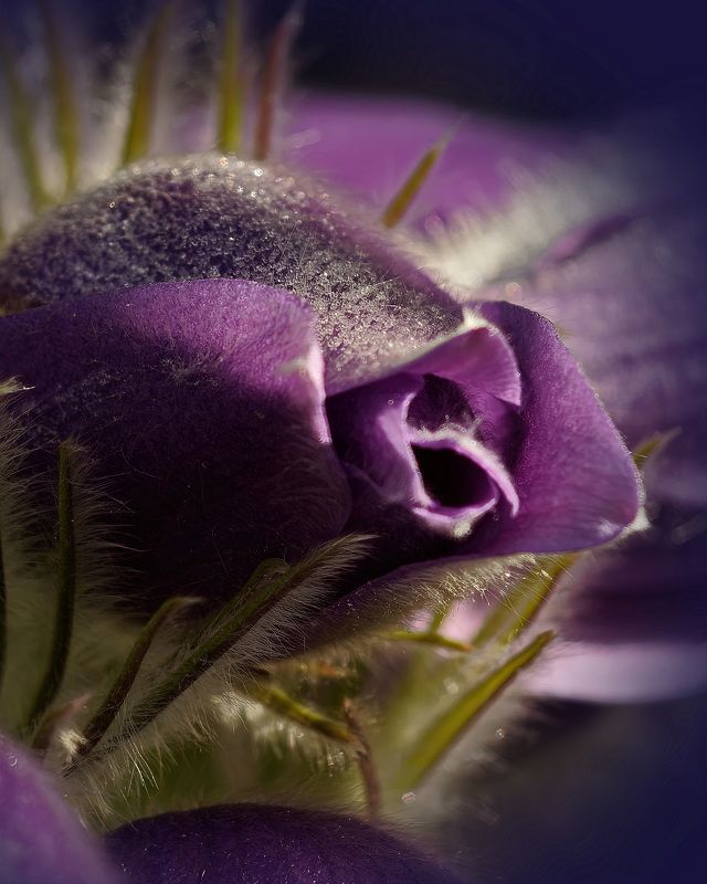 Шляпка со стразами для модницы фото превью