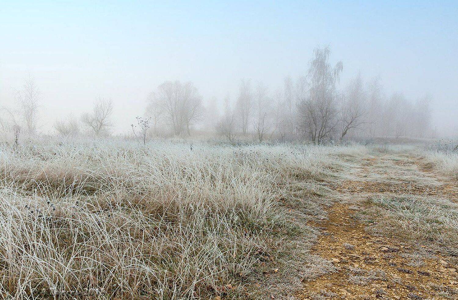 Заморозки, Иней, Осень, Пейзаж, Туман, Утро, Анатолий Зверев