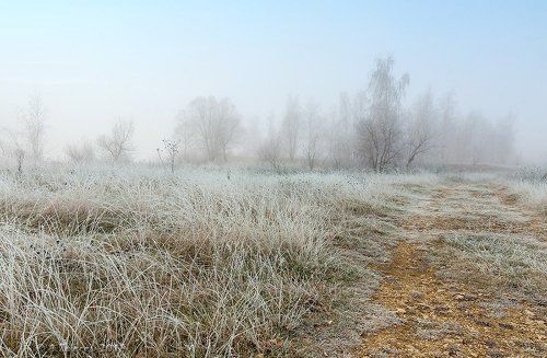 Осенние заморозки.