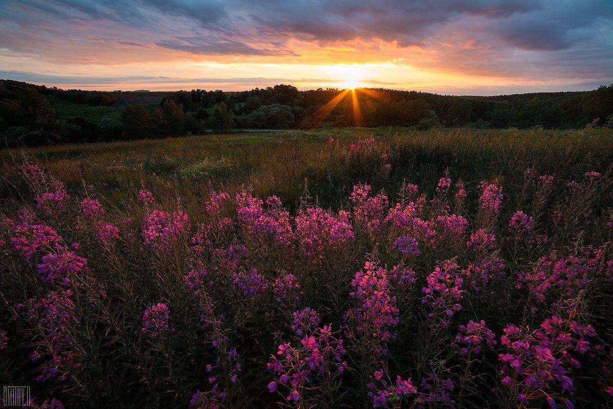 , Дмитрий Доронин