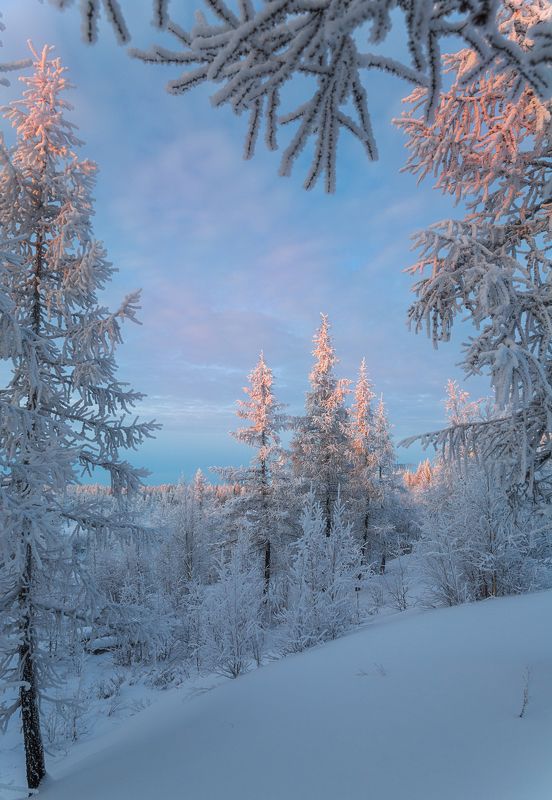 *** фото превью