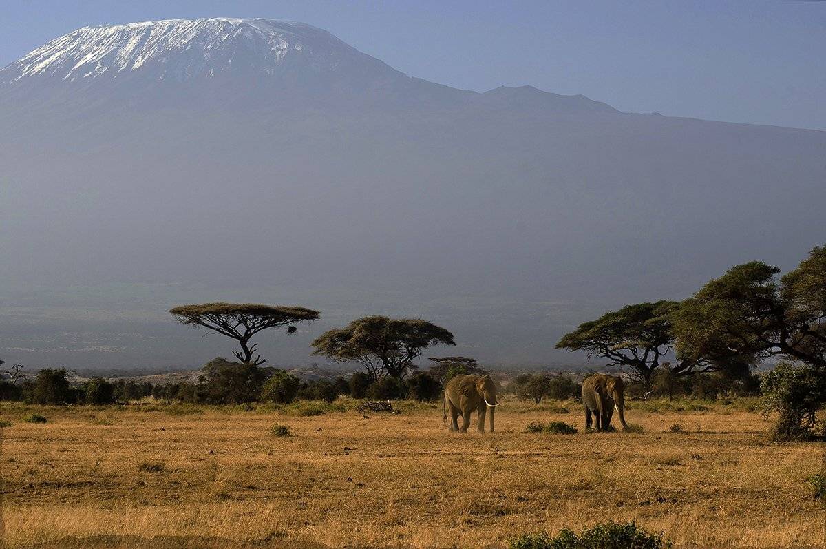 , Марина Мудрова