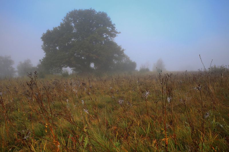 Утро на реке Оке фото превью