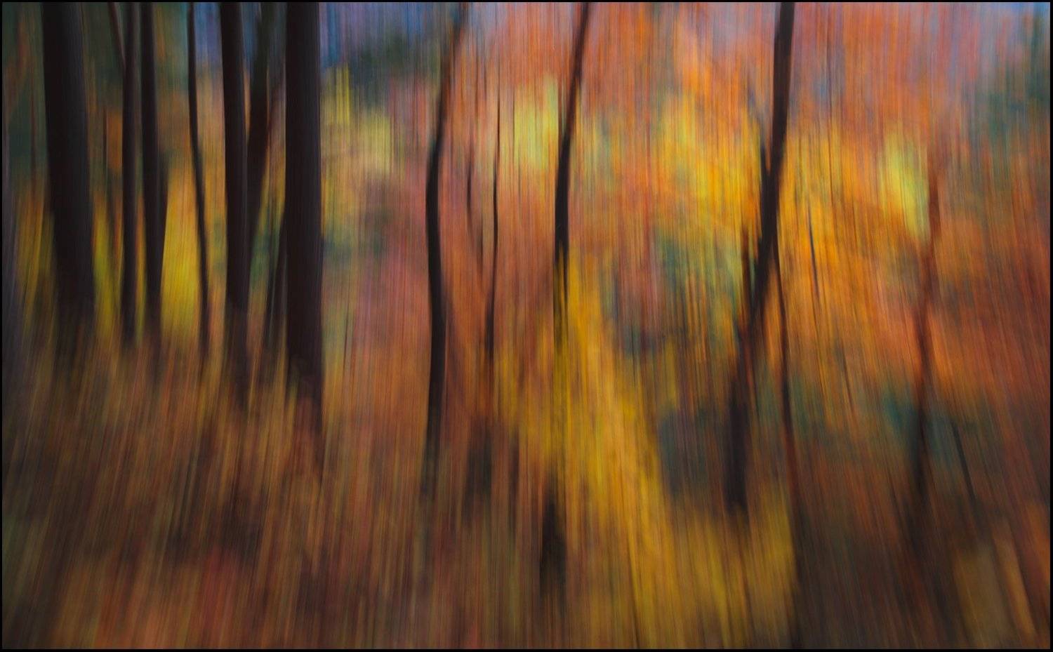 , Минаев Павел