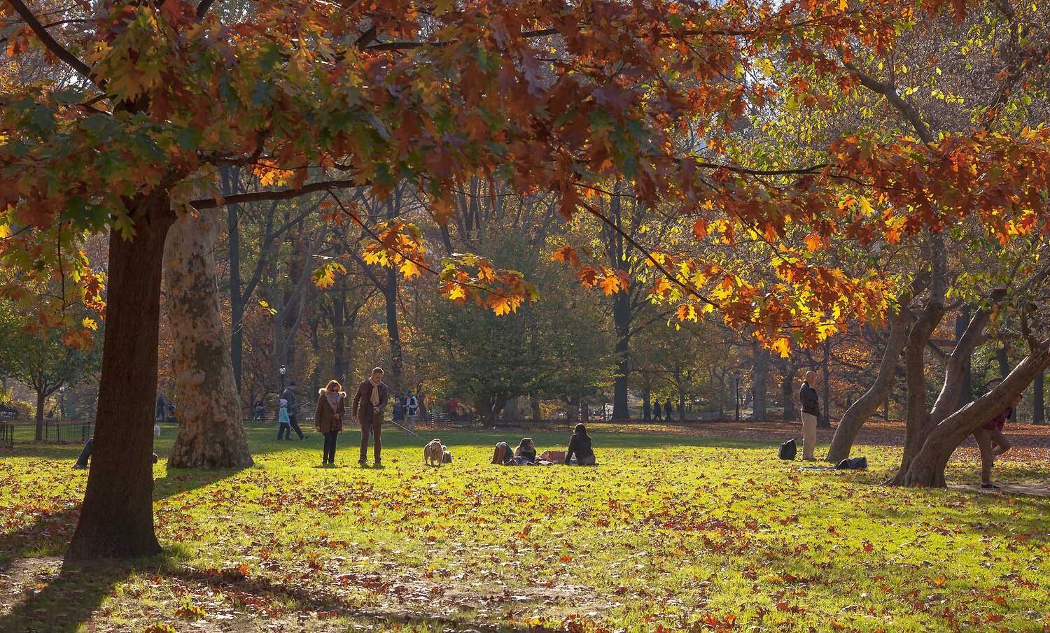 Город, Городской пейзаж, Жанр, Люди, Осень, Парк, Антонина