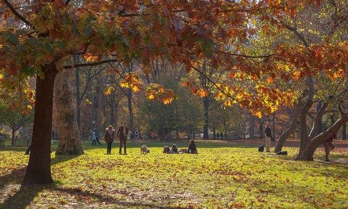 В осеннем парке городском...
