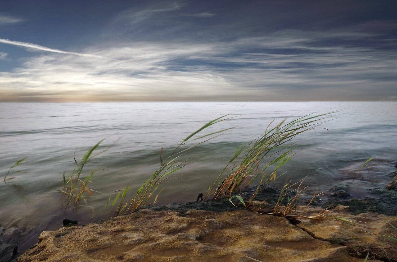 одесса, Сергей Кошелев