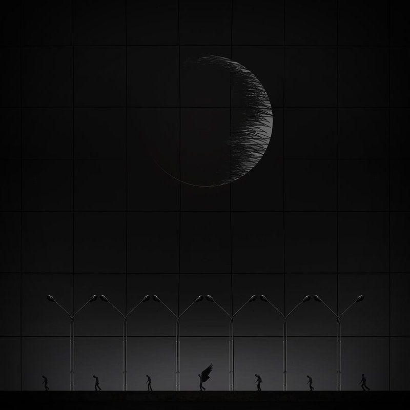 fineart, creative, concept, landscape, tree, minimal, street,  The seventh seal фото превью