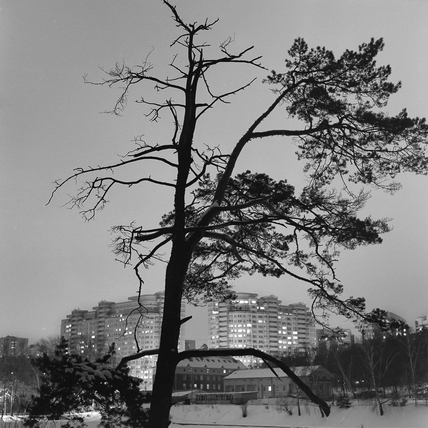 ночной пейзаж., снег., Александр Резников