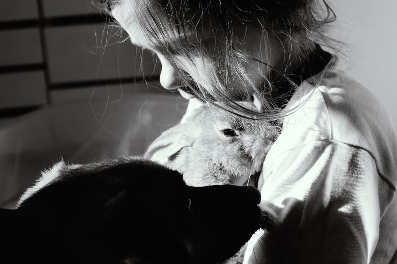 Morning traffic. 20.11.15 фото превью