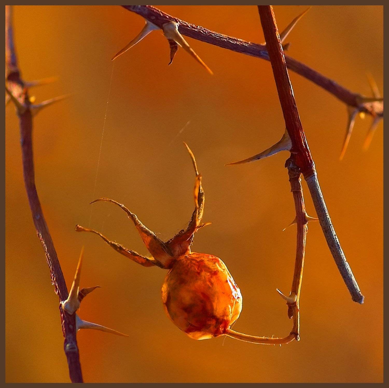 , Андрей Журавлев