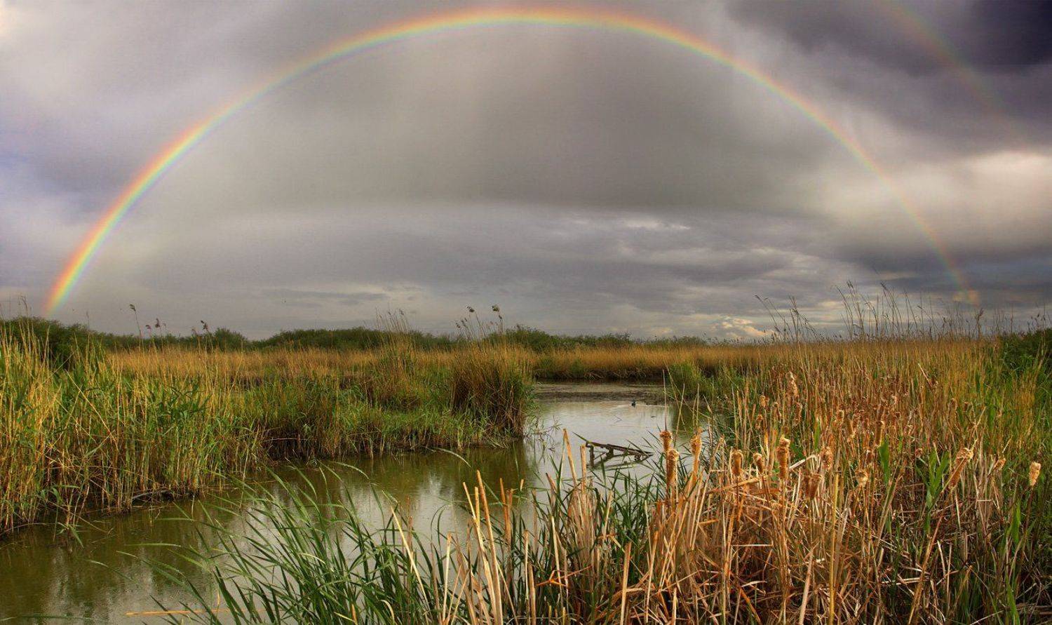 радуга, речка, Андрей Журавлев
