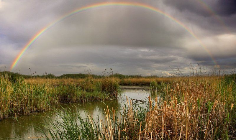 радуга, речка *** фото превью