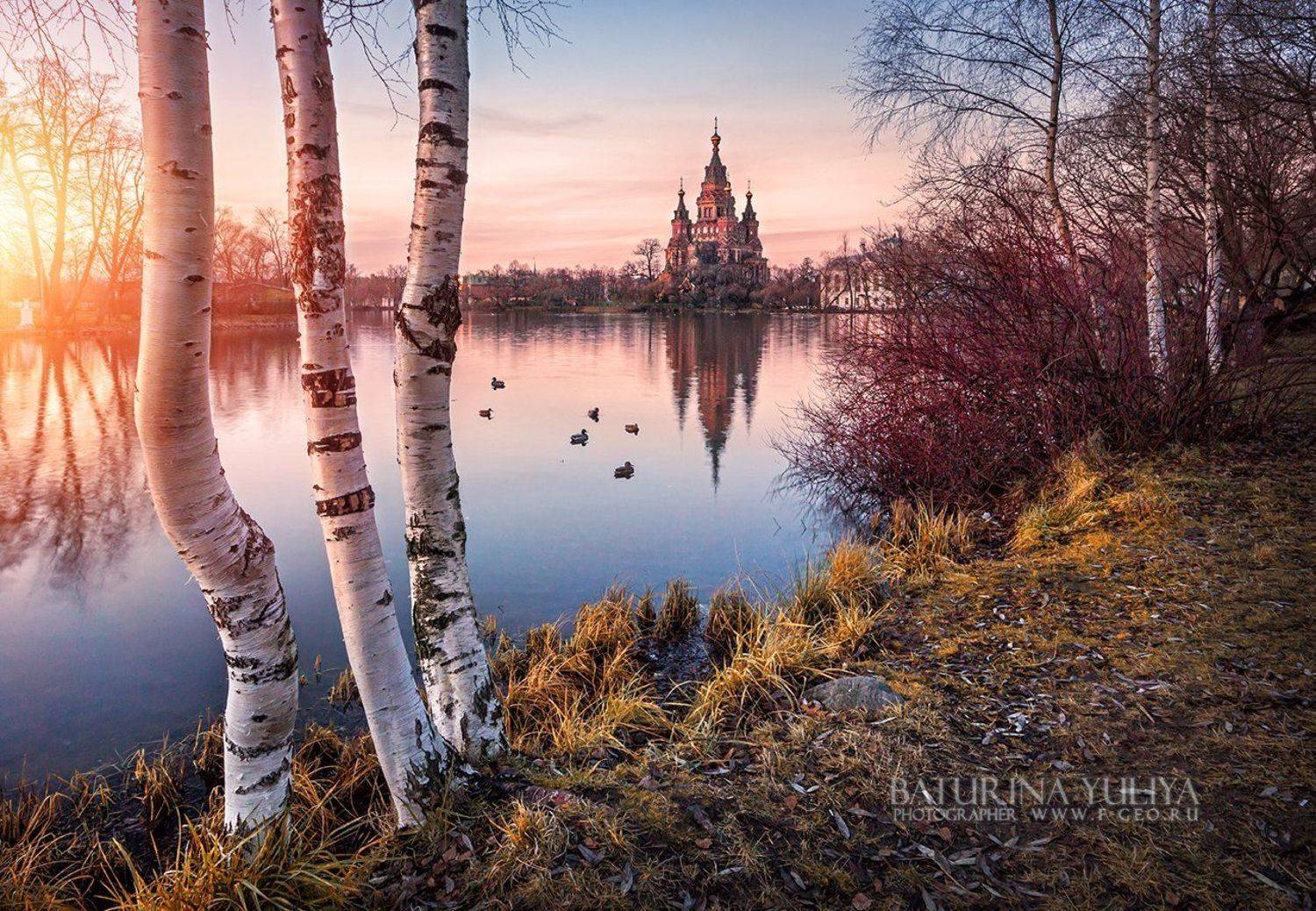 Петергоф, утки, собор Петра и Павла, закат, осень, Юлия Батурина