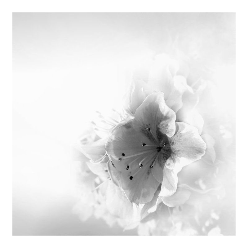 Bathroom tiles фото превью