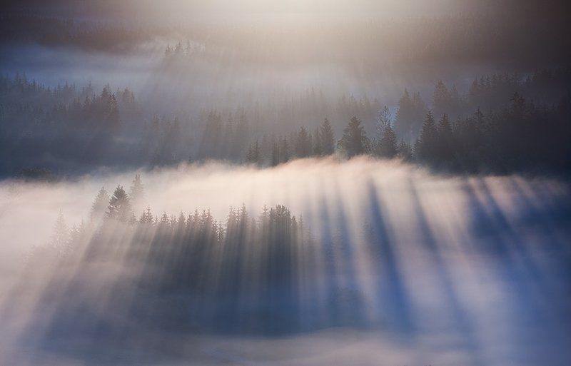 Awakening фото превью