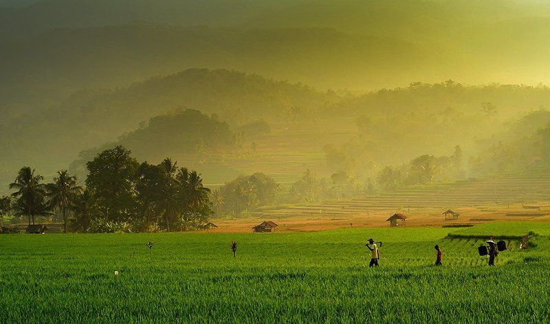 .human, Color, Landscape, Natural light, Travel Go to the field фото превью