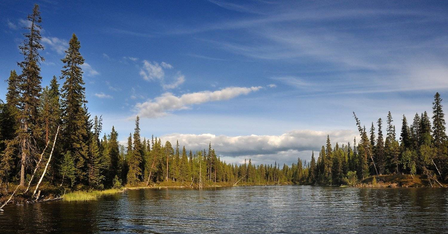 , Андрей Куликов