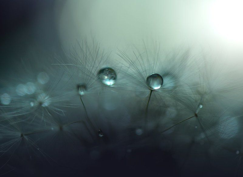 \\***/ фото превью