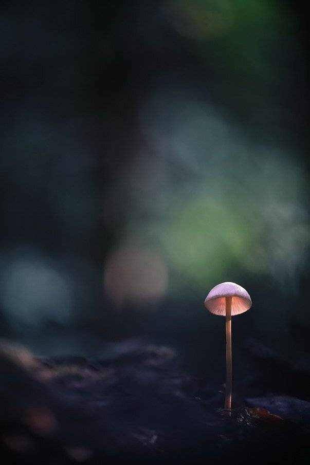 , Вячеслав Мищенко