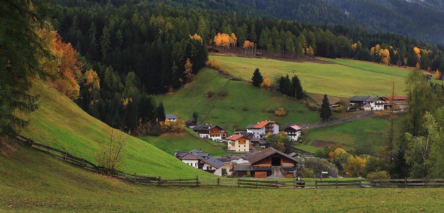 , Игорь Дубровский