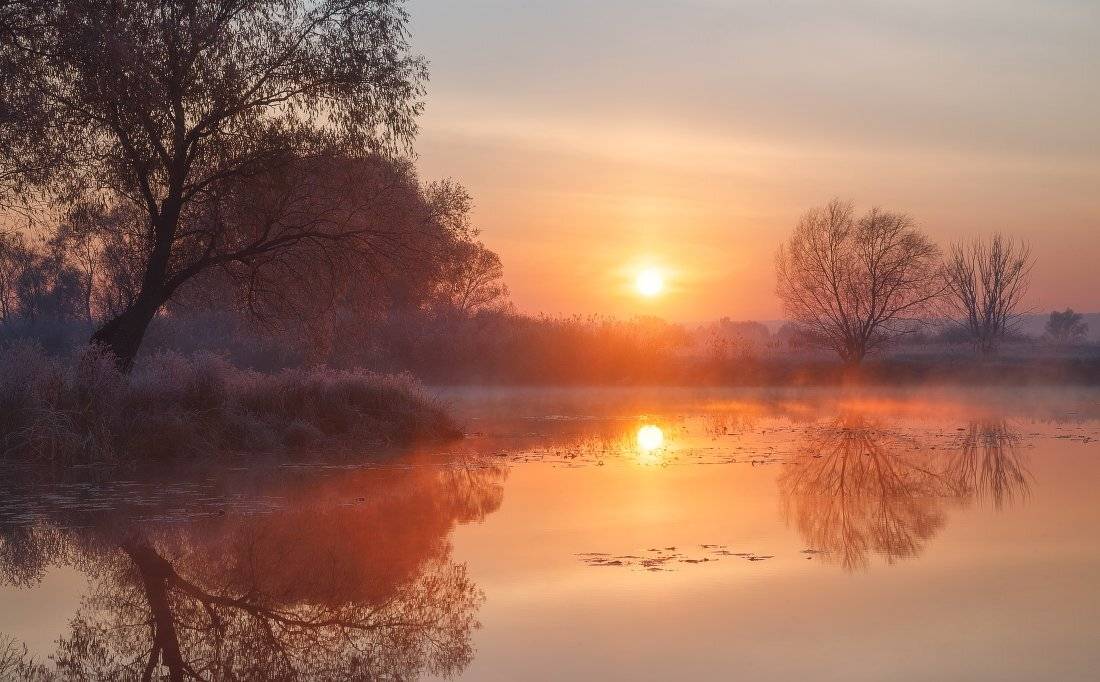 , Ярослав Тюрменко (Jaremi)