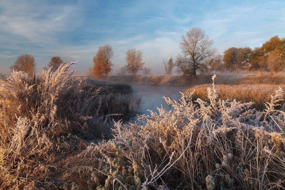 , Ярослав Тюрменко (Jaremi)