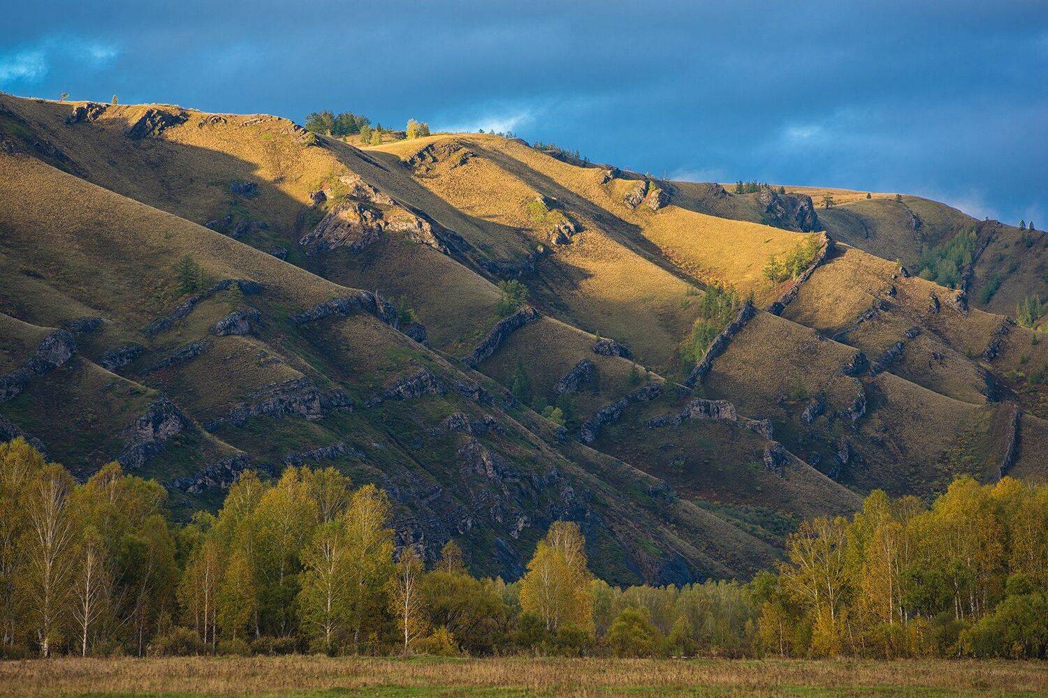 алтай, тигирек, altai, tigirek, Ruslan