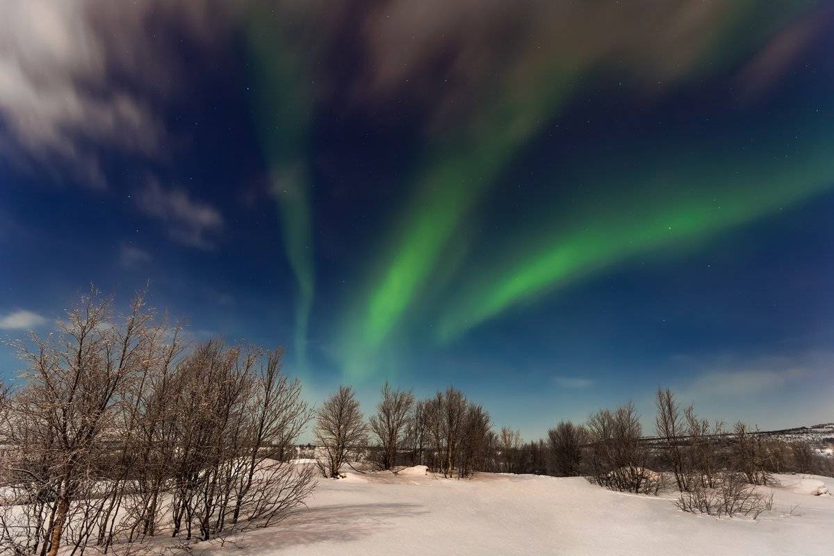 Заполярный, Кольский полуостров, Крайний север, Мурманская область, Печенгский район, Полярное сияние, Северное сияние, Кирилл Уютнов