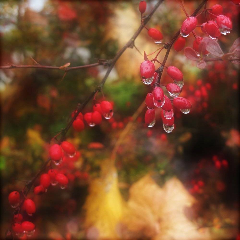 , ТАТЬЯНА ЗАХАРОВА