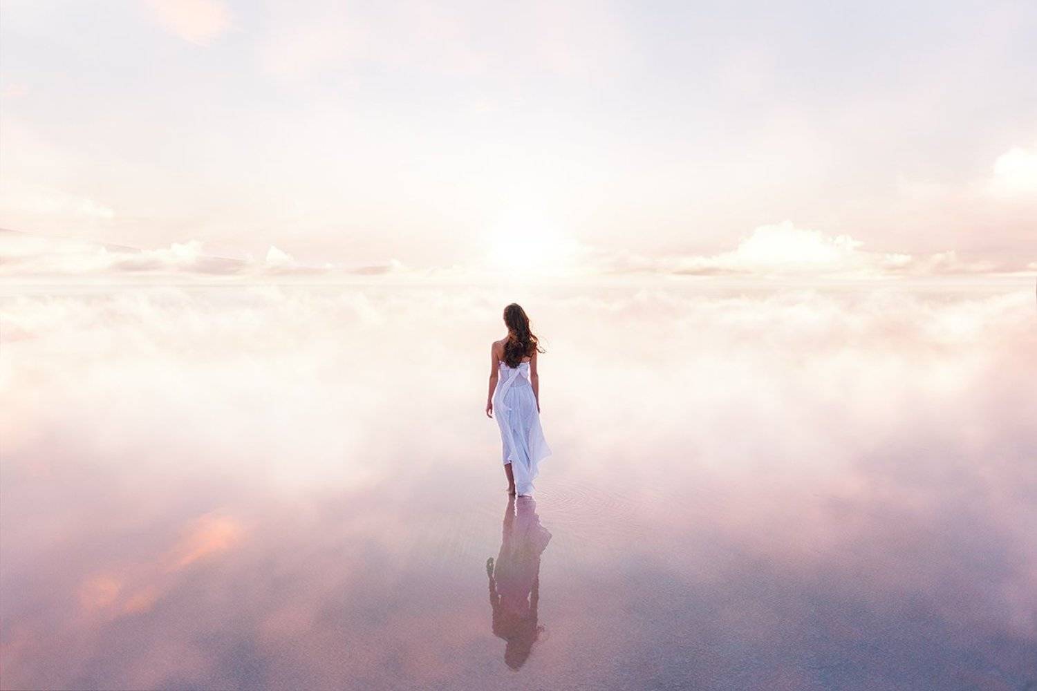 , Рогожкин Дмитрий