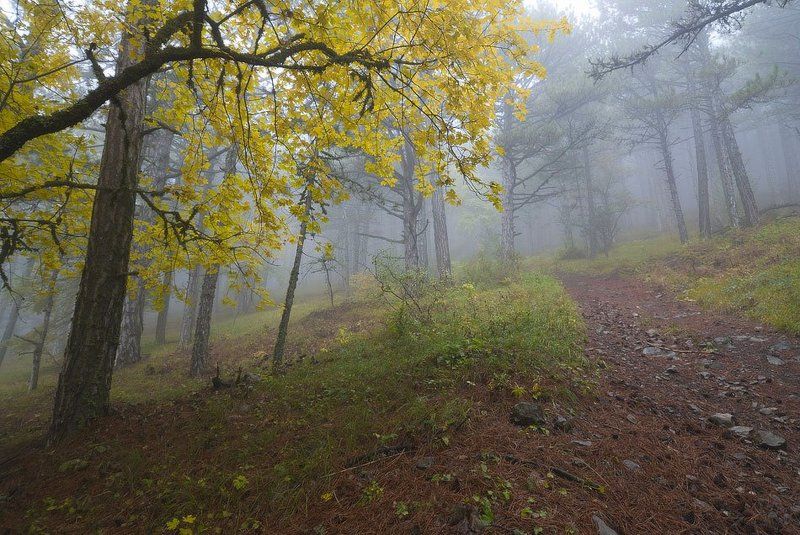 Крут подъём... фото превью