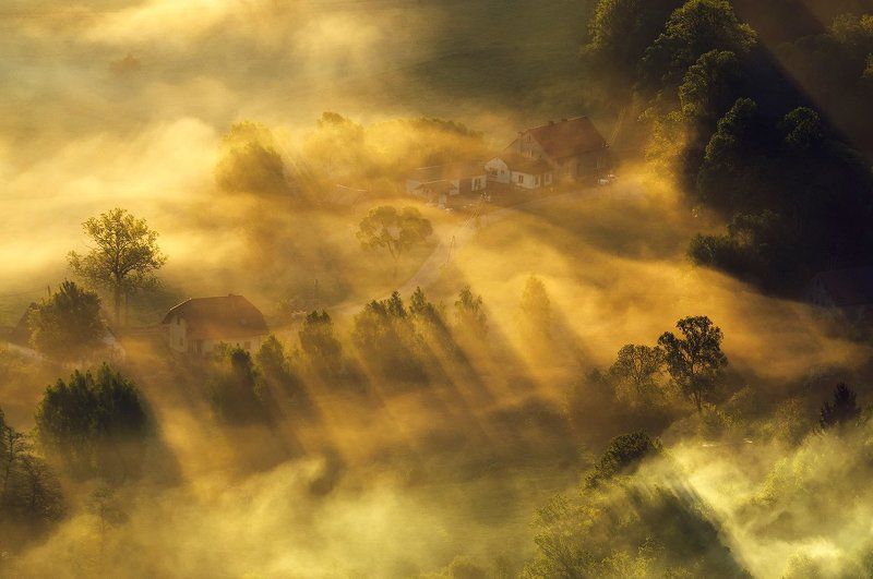 Painted Fog... фото превью