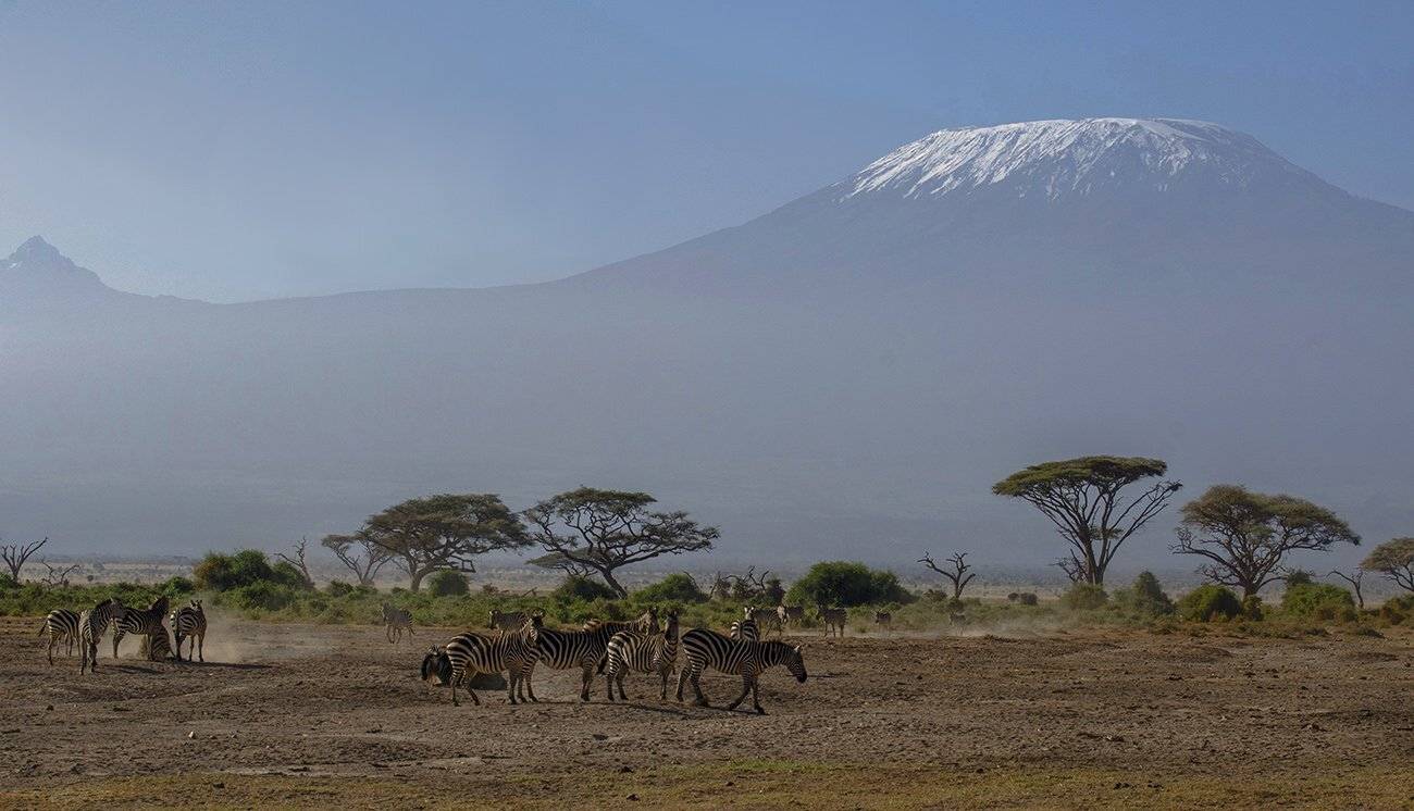 гора, килиманджаро, саванна. зебры, Марина Мудрова