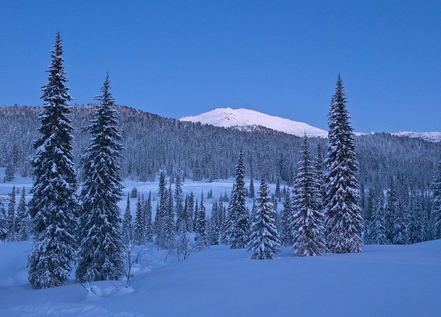 , Лещёнок Александр