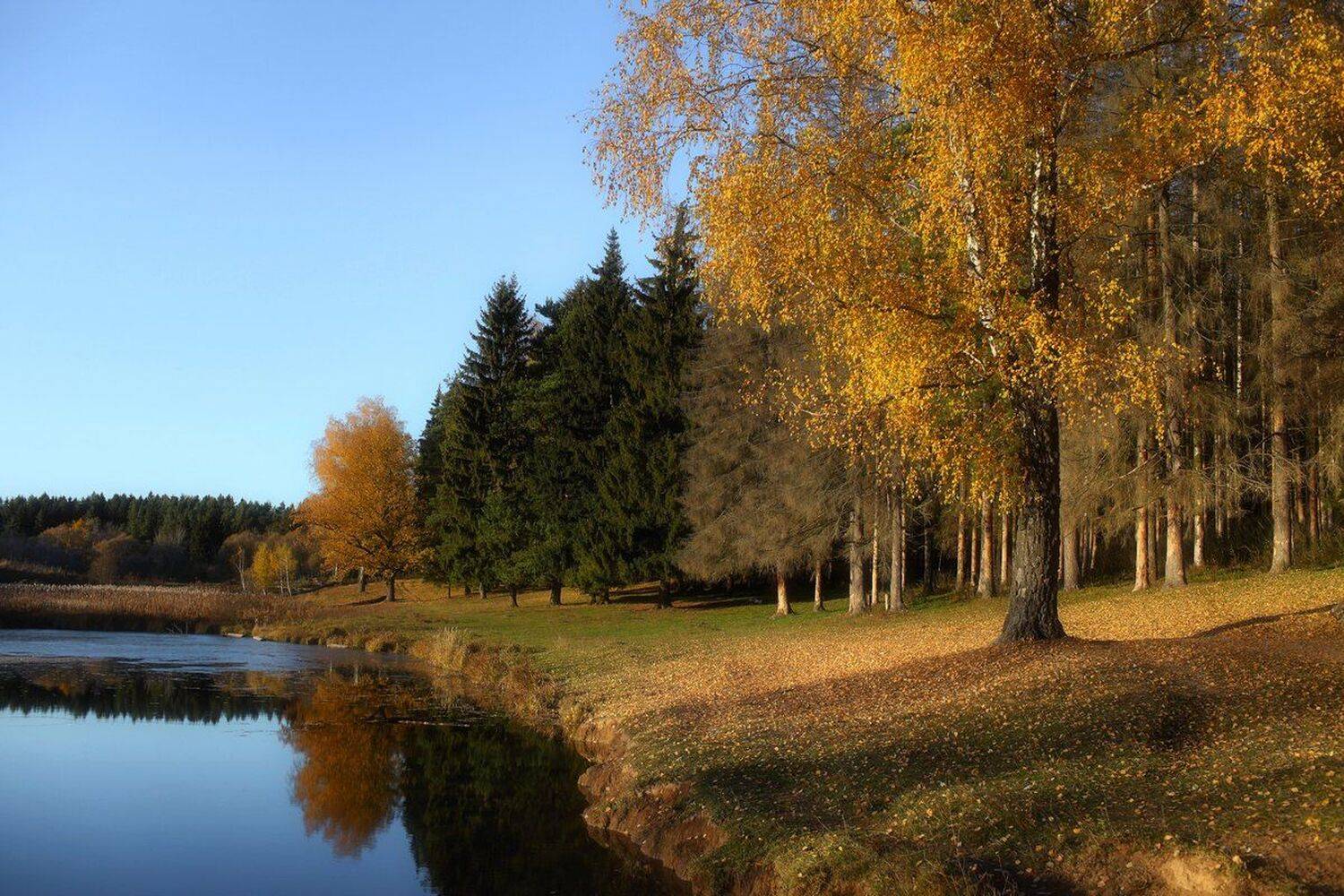 вода, осень, пруд, солнце, Дмитрий