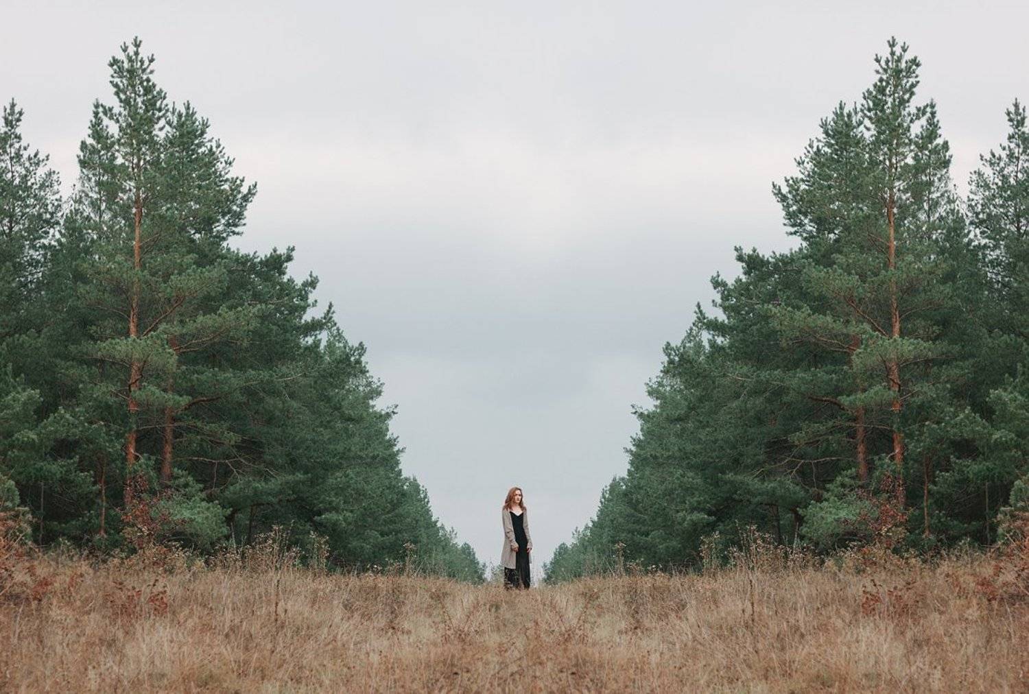 портрет, Меркулов Антон