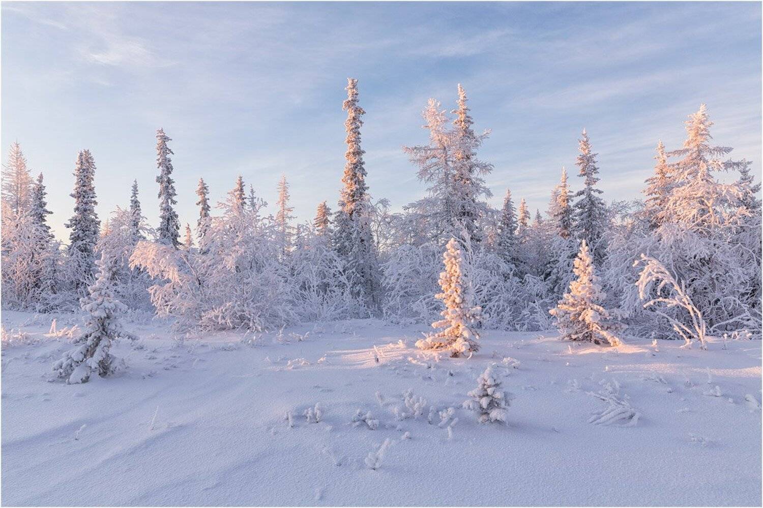 север, пейзаж, ямал, салехард, сибирь, арктика, ноябрь, Евгений