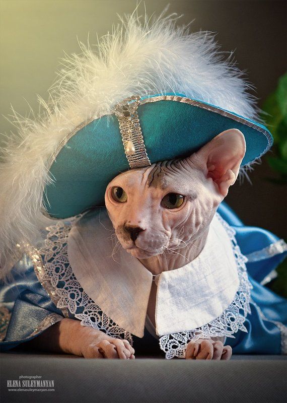 Портос - настоящий мушкетёр)) фото превью