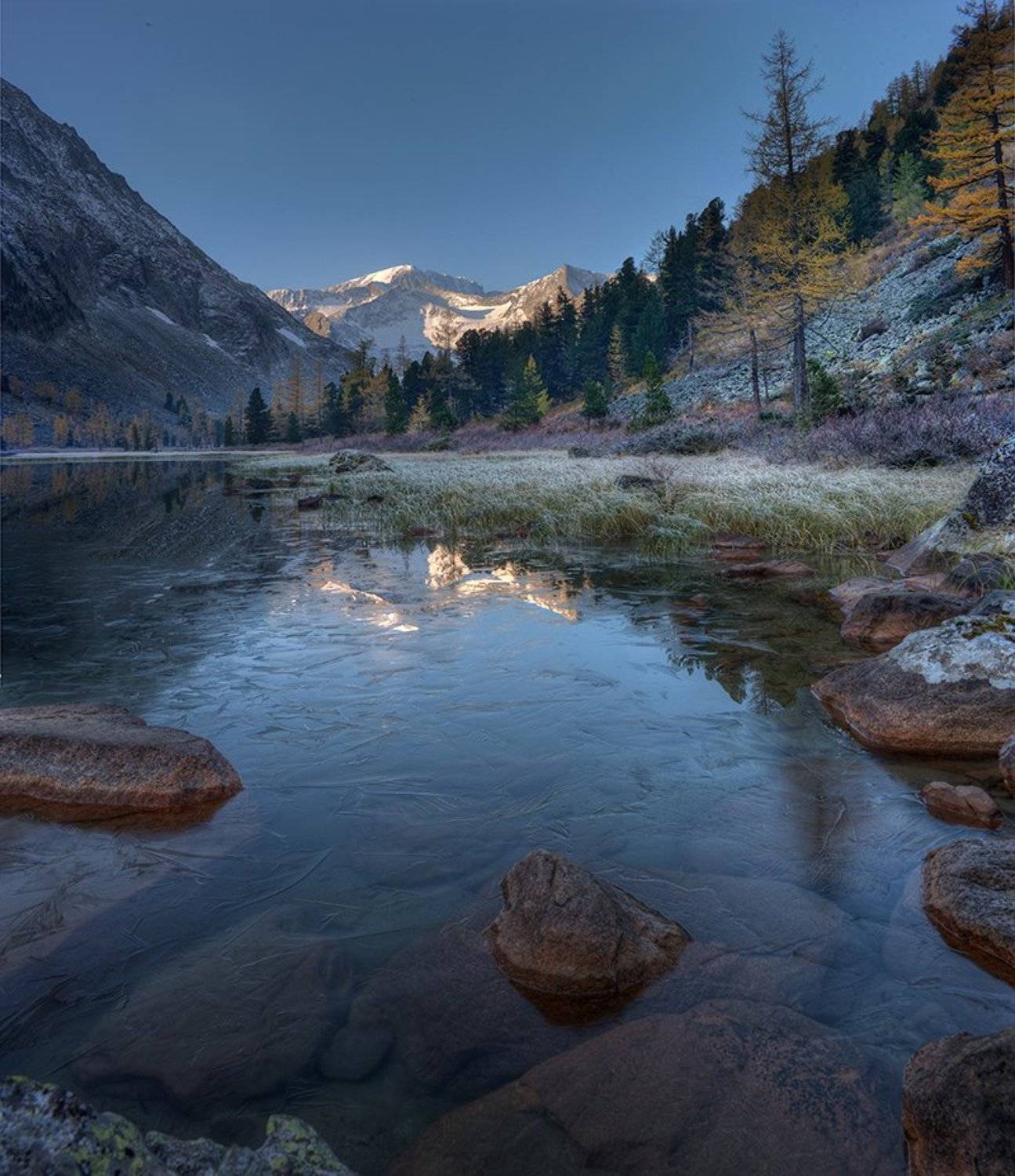 , Алексей Родак